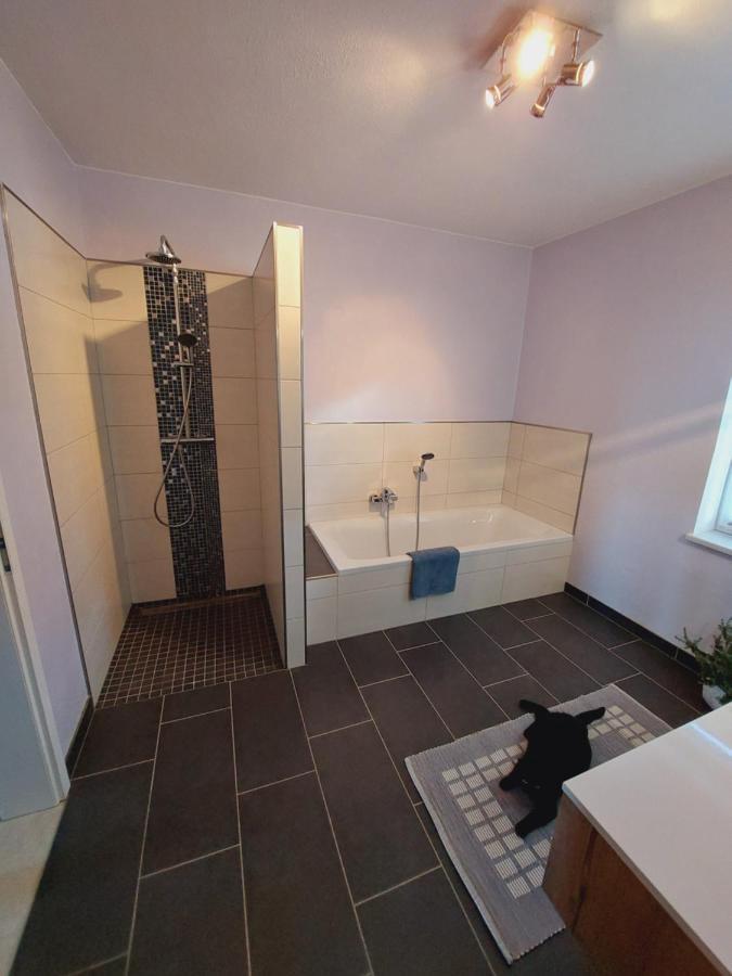 שטיינקירשן אם פורסט Ferienwohnung Lucy Am Lonitzberg מראה חיצוני תמונה